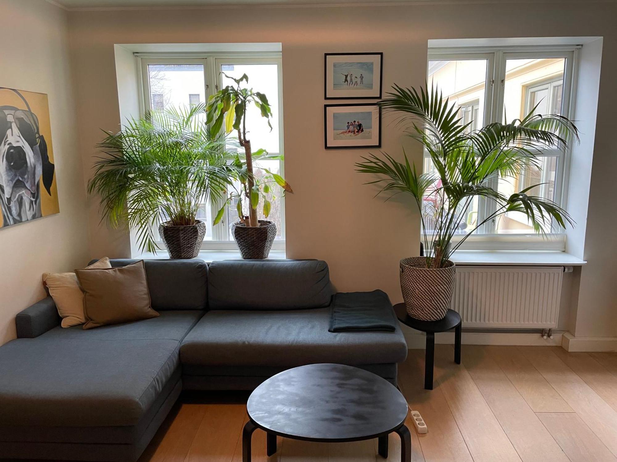 Stroken Loftleilighet Midt I Oslo. Экстерьер фото