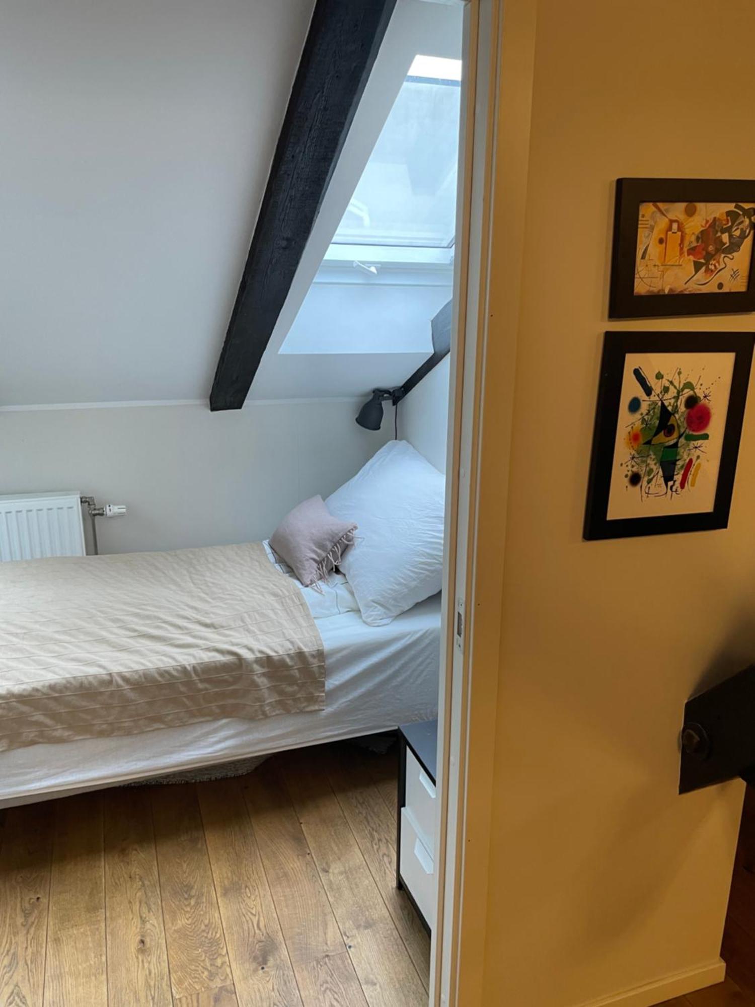 Stroken Loftleilighet Midt I Oslo. Экстерьер фото