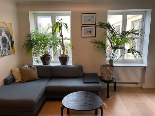 Stroken Loftleilighet Midt I Oslo. Экстерьер фото